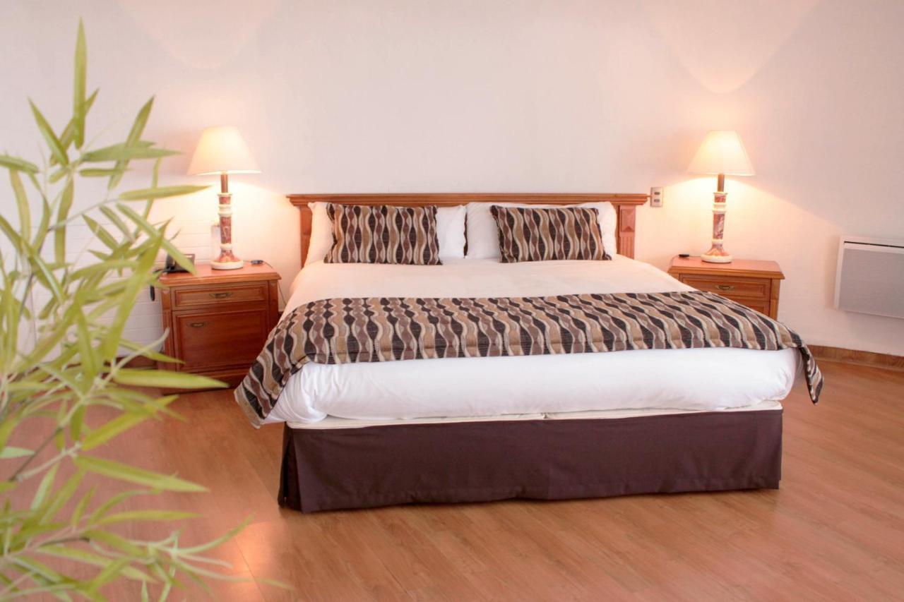 Hotel Montecarlo וינה דל מר מראה חיצוני תמונה